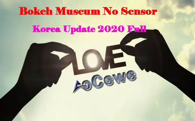 Bokeh Museum No Sensor Korea Update 2020 Full