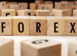 5 Tips Tranding Forex Agar Tidak Bangkrut